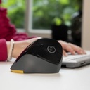 PRF Mouse Wireless V2