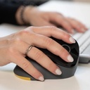PRF Mouse Wireless V2