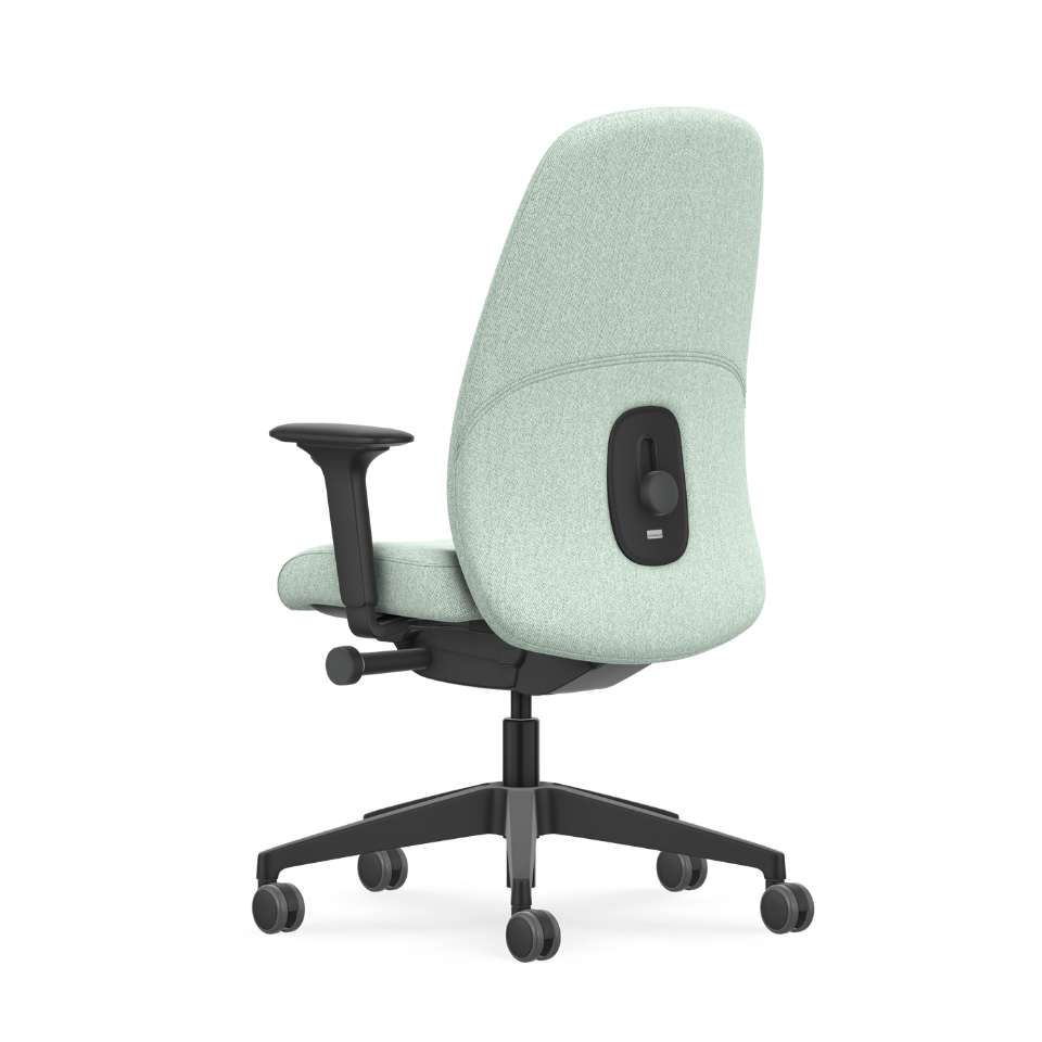 Interstuhl HEJ HJ116 ergonomische bureaustoel zwart frame aanzicht van achteren