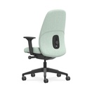 Interstuhl HEJ HJ116 ergonomische bureaustoel zwart frame aanzicht van achteren