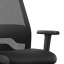 Interstuhl EV25R Black Friday Deal