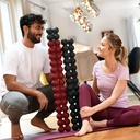 SPINEFITTER® by SISSEL® Multi Extension Kit – uitbreidingsset voor extra trainingsmogelijkheden