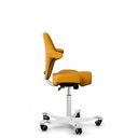 HAG Capisco 8106 SC62098