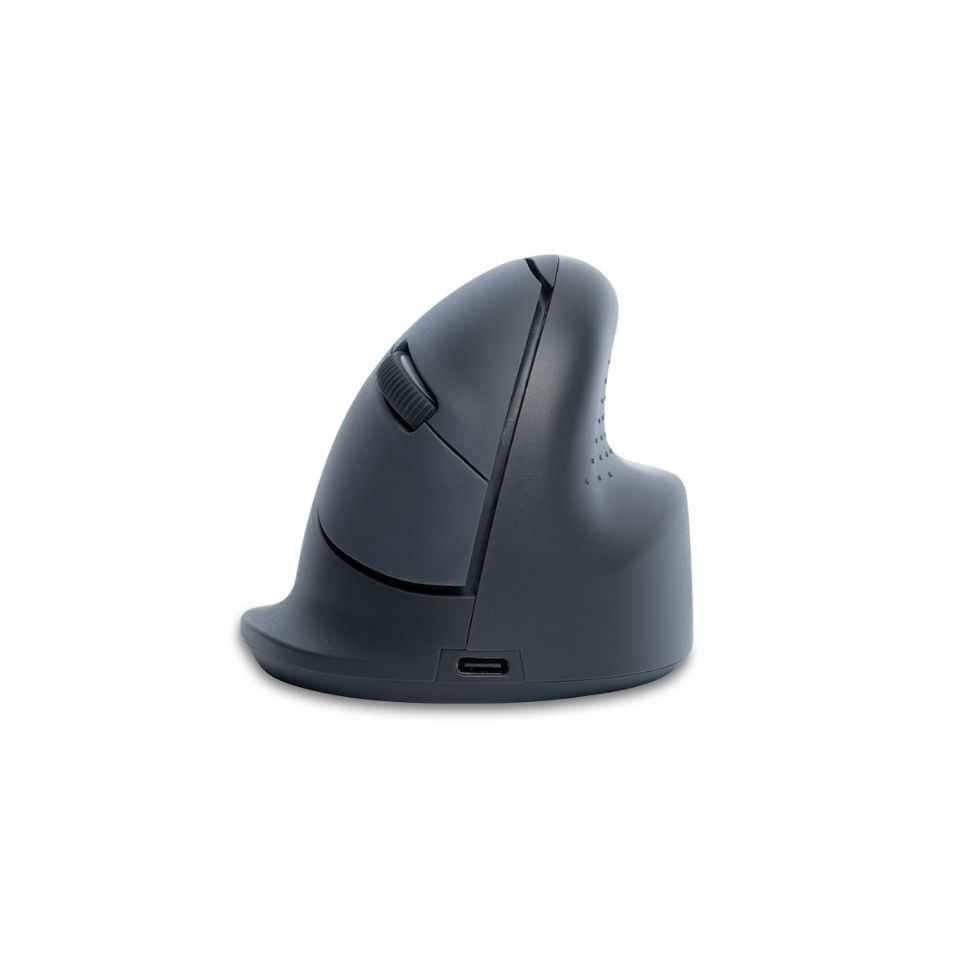 R-GO HE Basic verticale muis