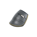 Souris verticale FastForward