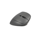 Souris Verticale MidWay