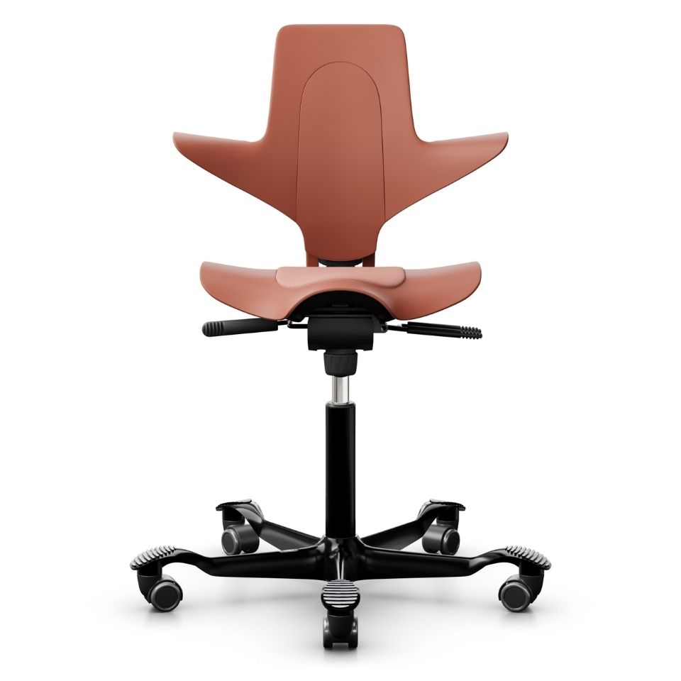 HAG Capisco Puls 8010 Special Rosehip