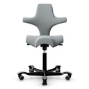 HAG Capisco 8106 Hellgrau Xtreme 