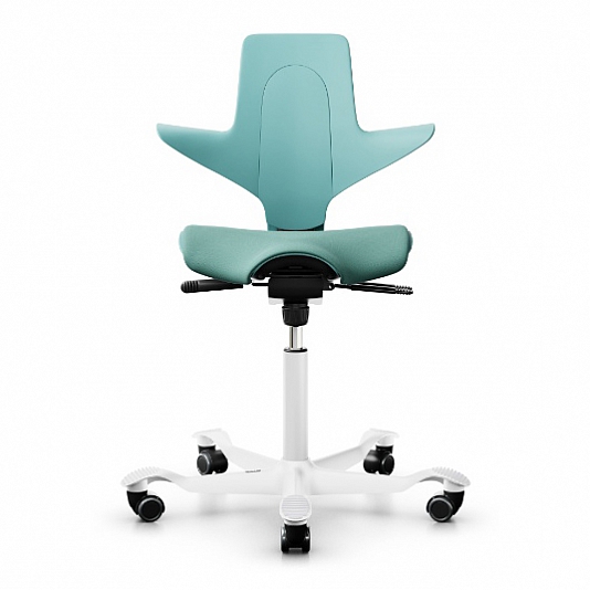 HAG Capisco Puls 8020 Special Seagreen