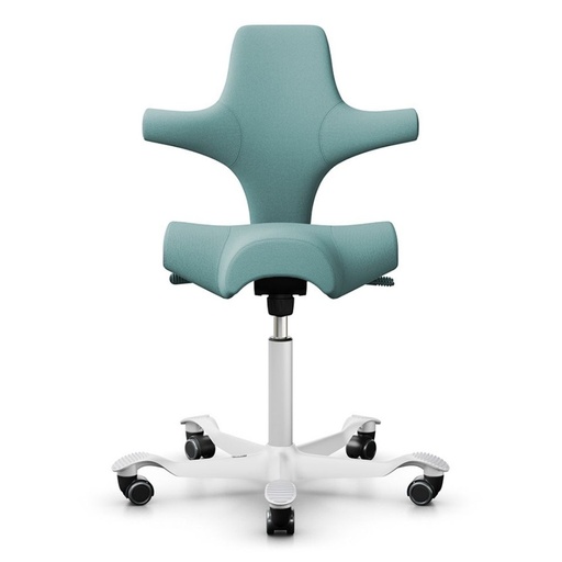 HAG Capisco 8106 Sea green Select 