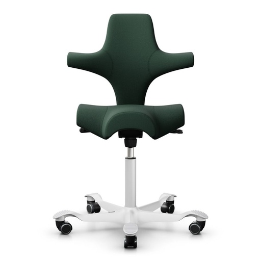 HAG Capisco 8106 Grün Promo