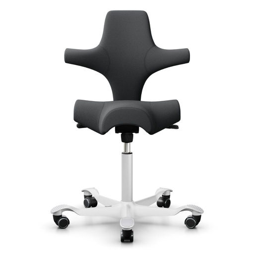 HAG Capisco 8106 Anthrazit Select