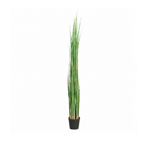 Götessons Grass