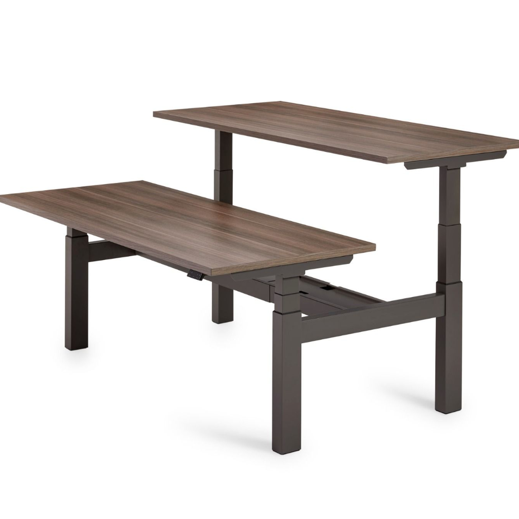 Flex 3+ Bench Sitz-Steh-Schreibtisch für 2 Personen mit T-Fuß