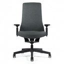 Interstuhl Pure MBRC PU113 Special Charcoal